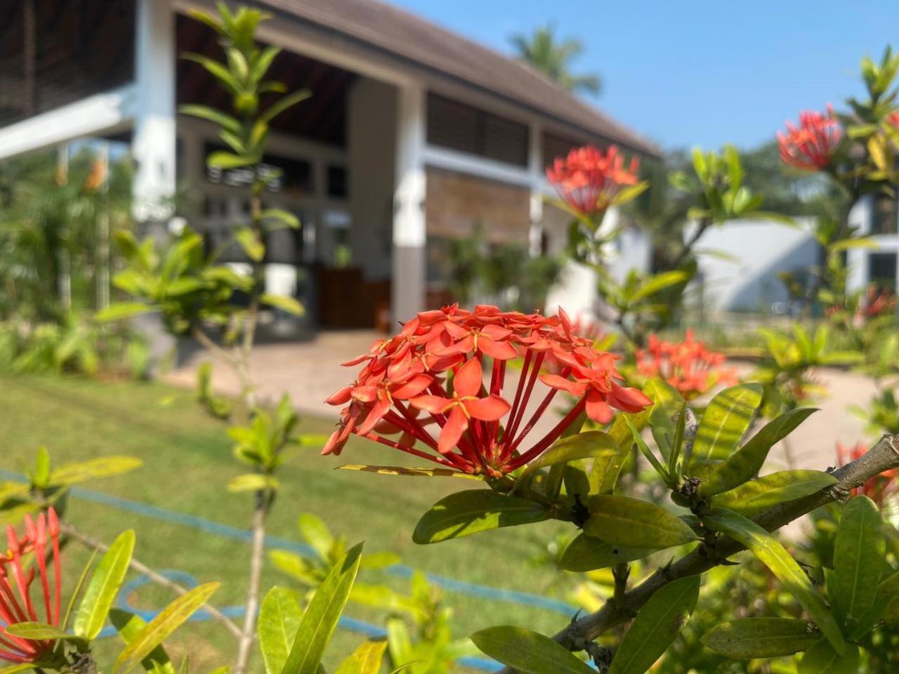 Lion Gate Hotel Sigiriya Exterior photo